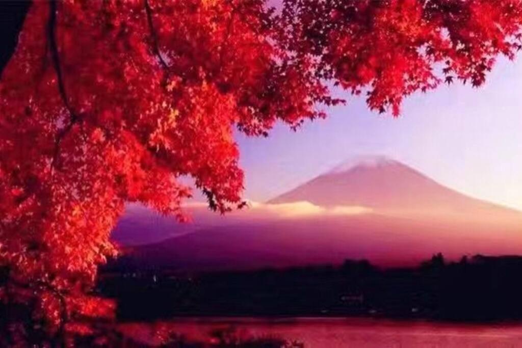 Away From Noise,View Fuji Mt In The Designer House Villa Яманакако Екстериор снимка